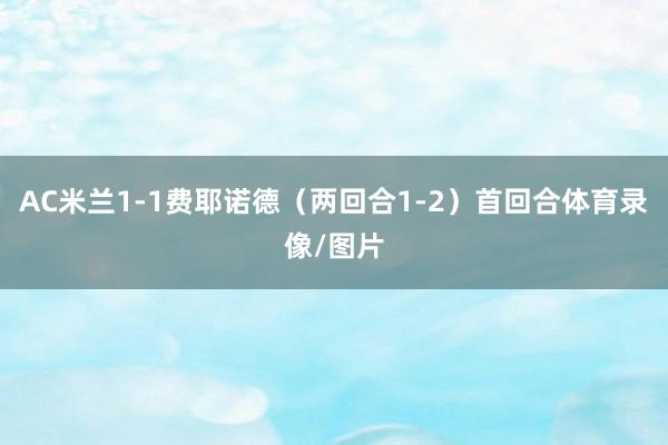 AC米兰1-1费耶诺德（两回合1-2）首回合体育录像/图片
