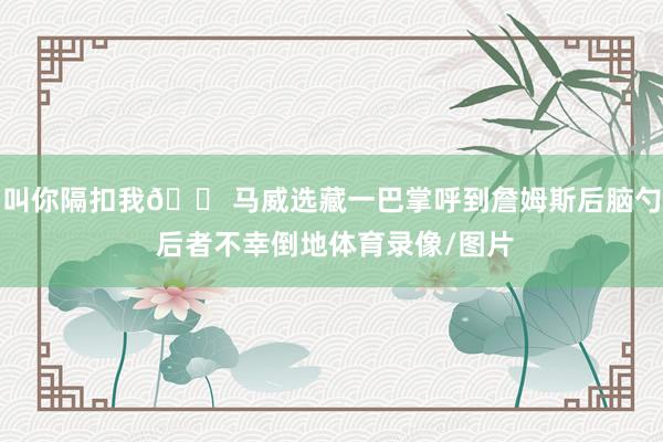 叫你隔扣我😠马威选藏一巴掌呼到詹姆斯后脑勺 后者不幸倒地体育录像/图片