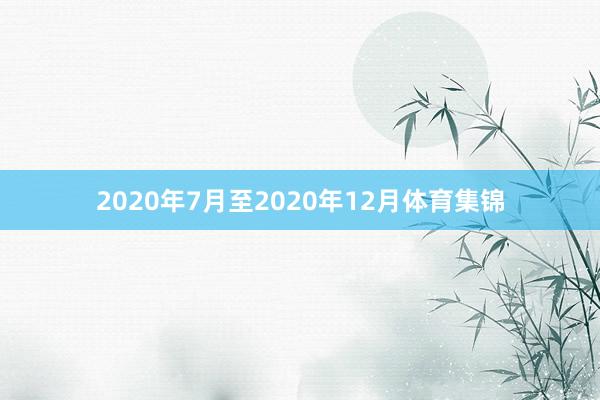 2020年7月至2020年12月体育集锦