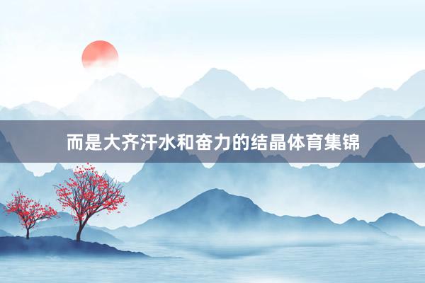 而是大齐汗水和奋力的结晶体育集锦