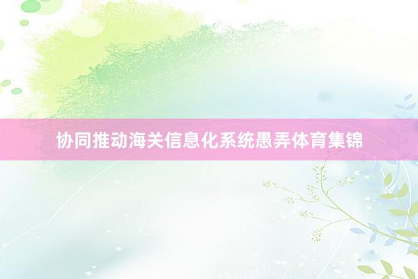 协同推动海关信息化系统愚弄体育集锦