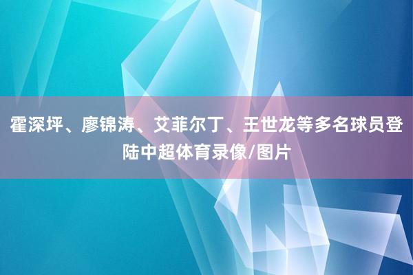 霍深坪、廖锦涛、艾菲尔丁、王世龙等多名球员登陆中超体育录像/图片