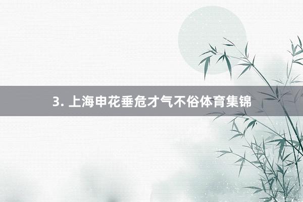 3. 上海申花垂危才气不俗体育集锦