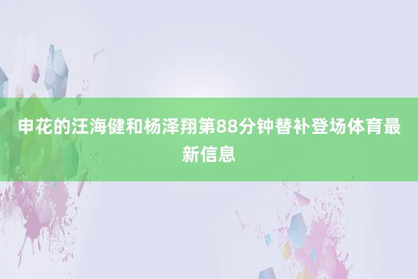 申花的汪海健和杨泽翔第88分钟替补登场体育最新信息