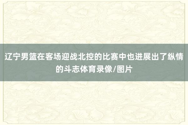 辽宁男篮在客场迎战北控的比赛中也进展出了纵情的斗志体育录像/图片