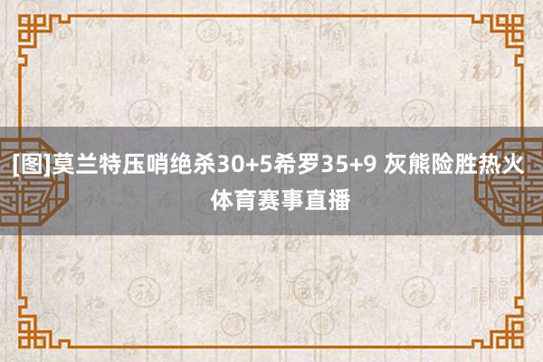 [图]莫兰特压哨绝杀30+5希罗35+9 灰熊险胜热火    体育赛事直播
