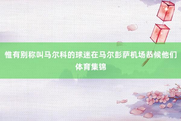 惟有别称叫马尔科的球迷在马尔彭萨机场恭候他们体育集锦