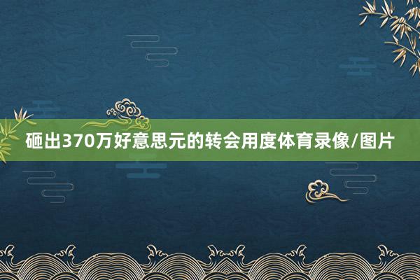 砸出370万好意思元的转会用度体育录像/图片