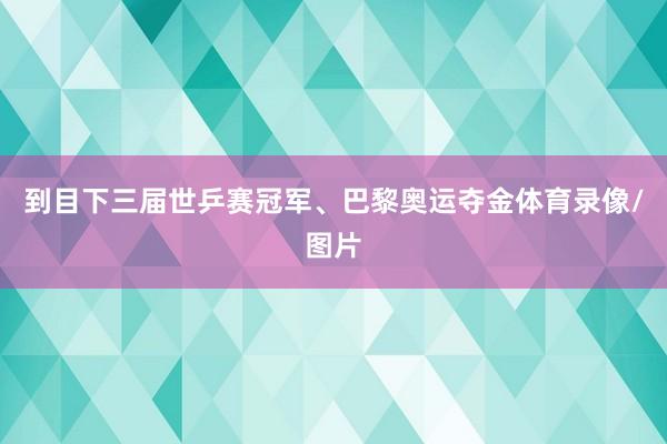 到目下三届世乒赛冠军、巴黎奥运夺金体育录像/图片