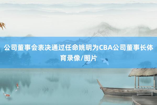 公司董事会表决通过任命姚明为CBA公司董事长体育录像/图片
