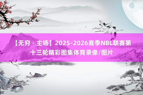【无穷 · 主场】2025-2026赛季NBL联赛第十三轮精彩图集体育录像/图片