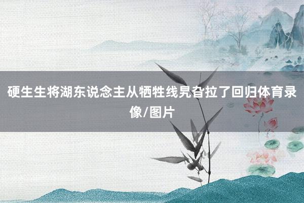 硬生生将湖东说念主从牺牲线旯旮拉了回归体育录像/图片